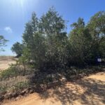 listing image thumbnail with ID 142135