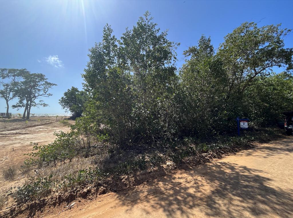listing image with ID 142135