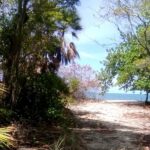 listing image thumbnail with ID 140899