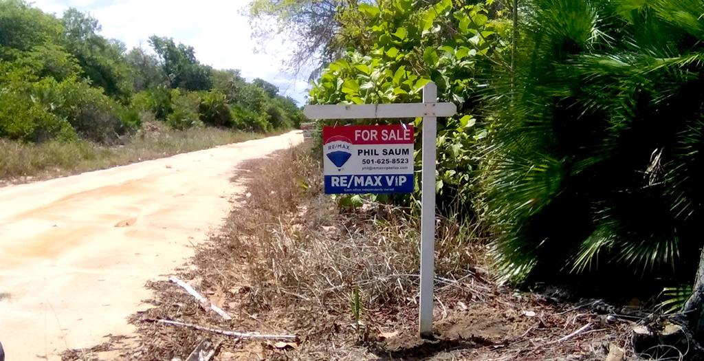 listing image with ID 140895