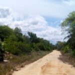 listing image thumbnail with ID 140896