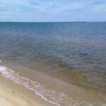 listing image thumbnail with ID 140901