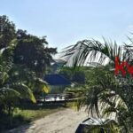 listing image thumbnail with ID 139772