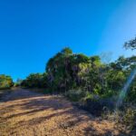listing image thumbnail with ID 136959