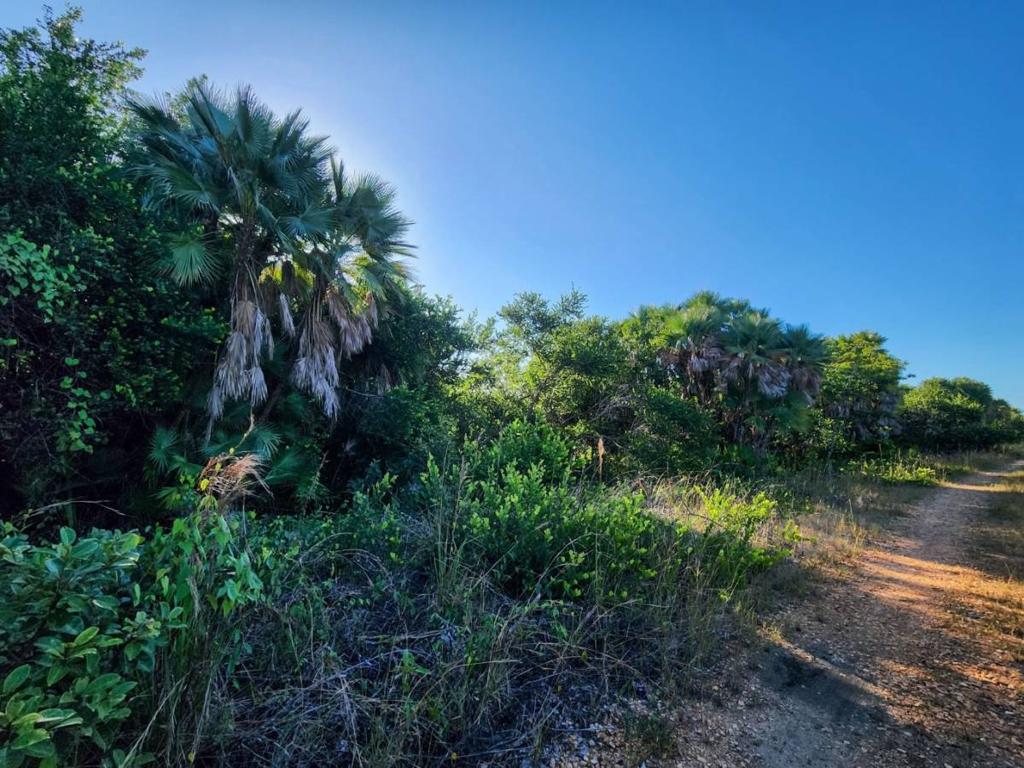 listing image with ID 136961