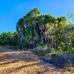 listing image thumbnail with ID 136957