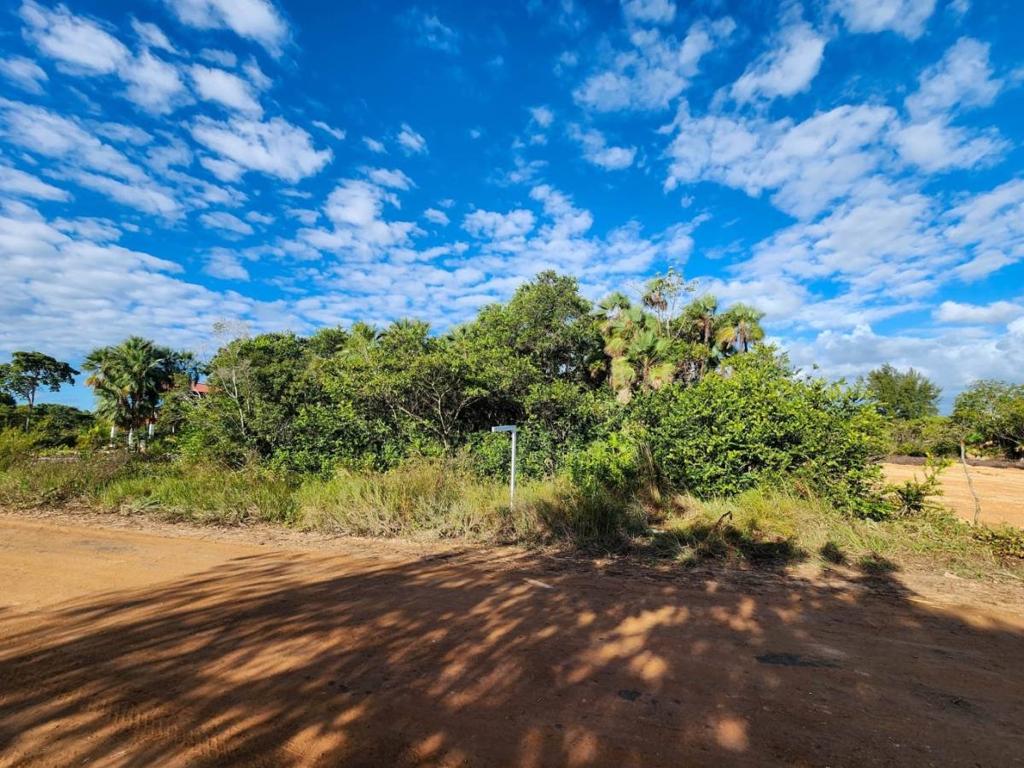 listing image with ID 137723