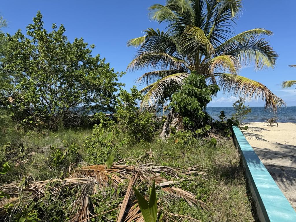 listing image with ID 137943