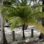 listing image thumbnail with ID 136820