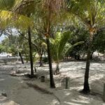 listing image thumbnail with ID 136809
