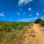 listing image thumbnail with ID 136106