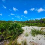 listing image thumbnail with ID 136103