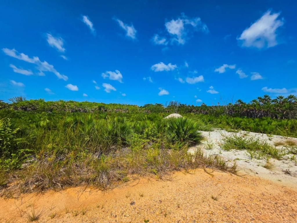 listing image with ID 136104