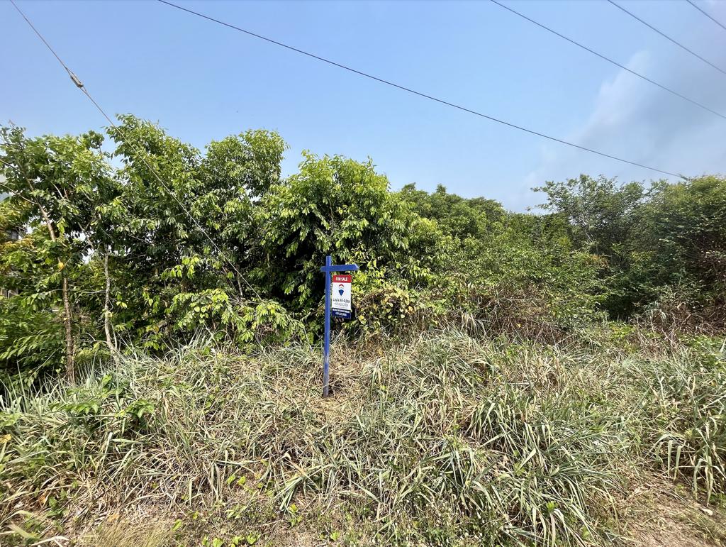 listing image with ID 135910